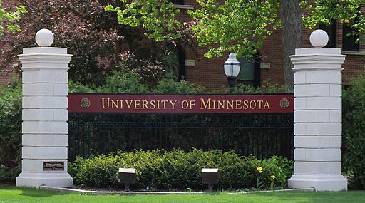 What are some different Minnesota colleges and universities?